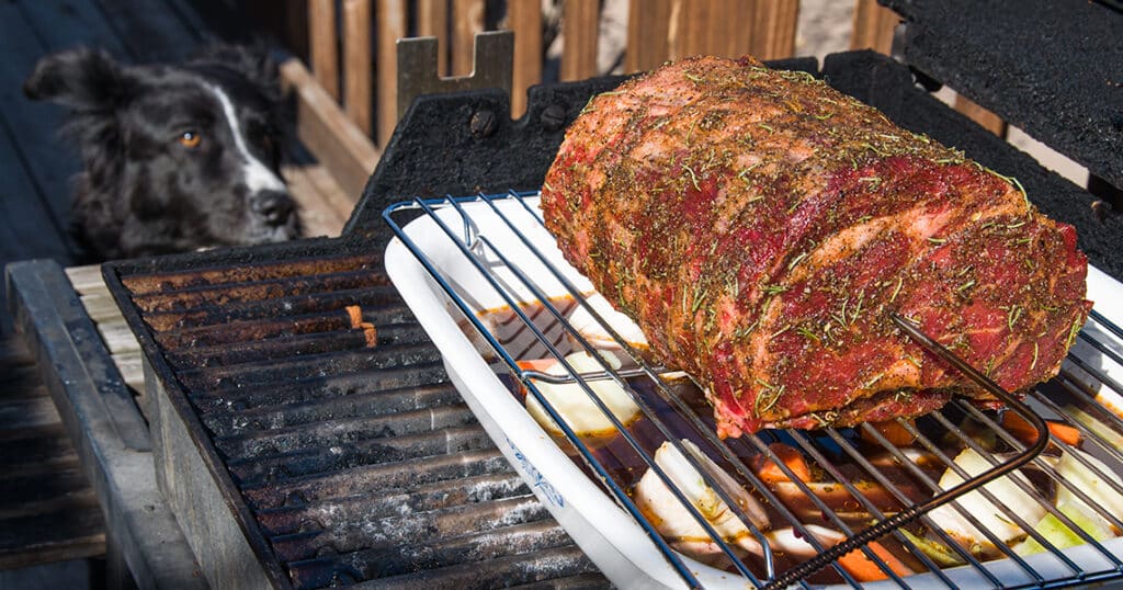 grilled prime rib.