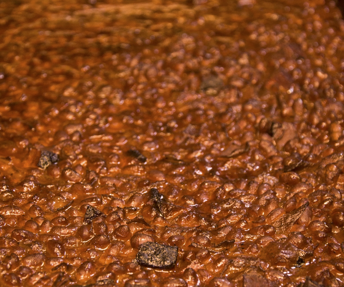 bbq baked beans