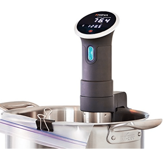 anova sous vide immersion circulator