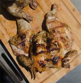 spatchcocked chicken