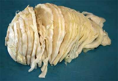 cabbage