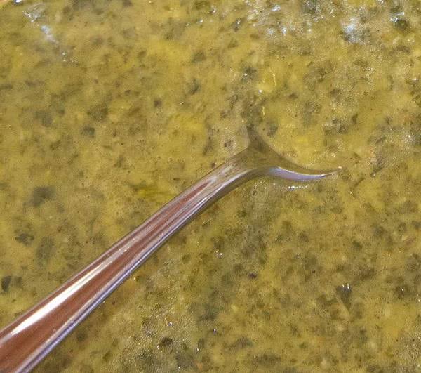 A spoon dips into a pale green spread
