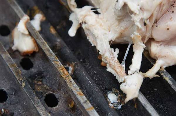 chicken sticking to grill grate