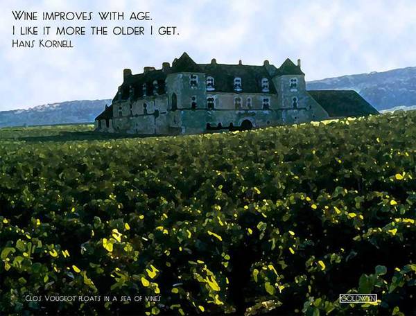 clos-vongeot
