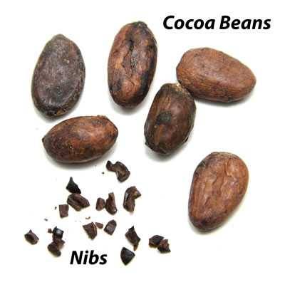 cocoa beans