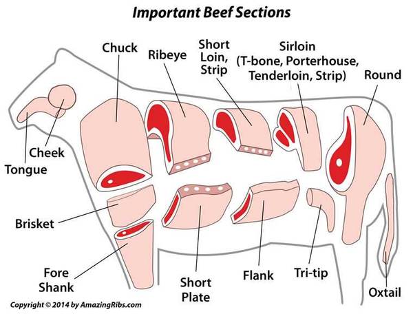 important beef sections