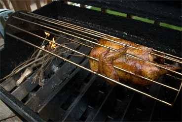 barbecue rotisserie