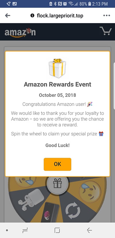 fake amazon ad
