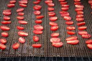 tomatoes on a grill topper