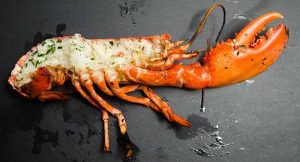 Grilled half lobster