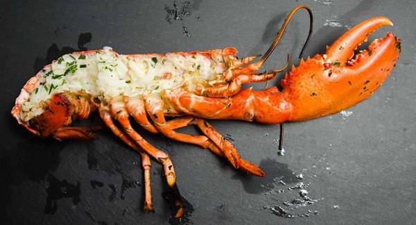 Grilled half lobster