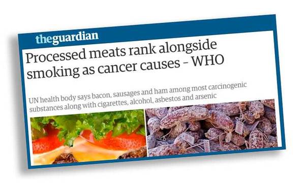 the guardian article
