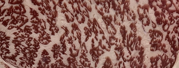 fat marbling