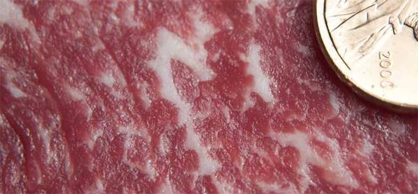 beef marbling