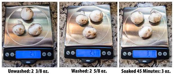 washing mushrooms weight