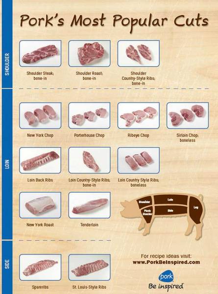 popular pork cut diagram