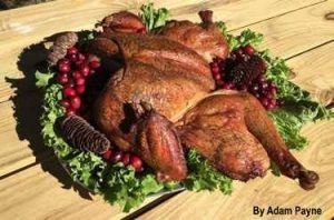 Paynes spatchcock