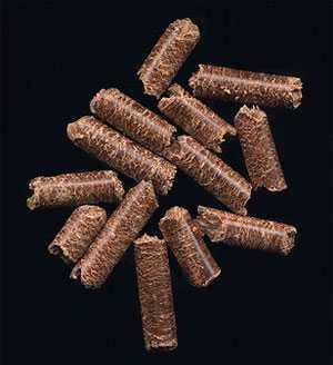 pellets