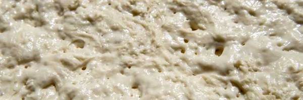 activated yeast