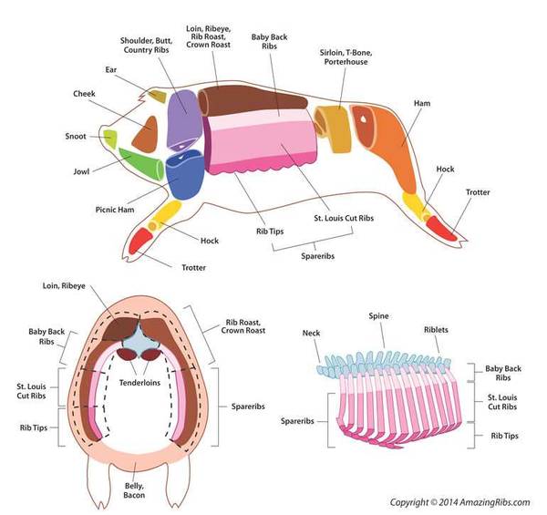 sections of pork cuts diagram