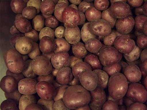 potatoes