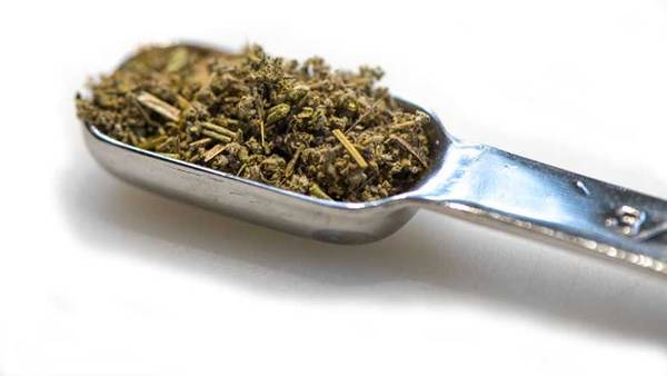 metal teaspoon heaped with spices