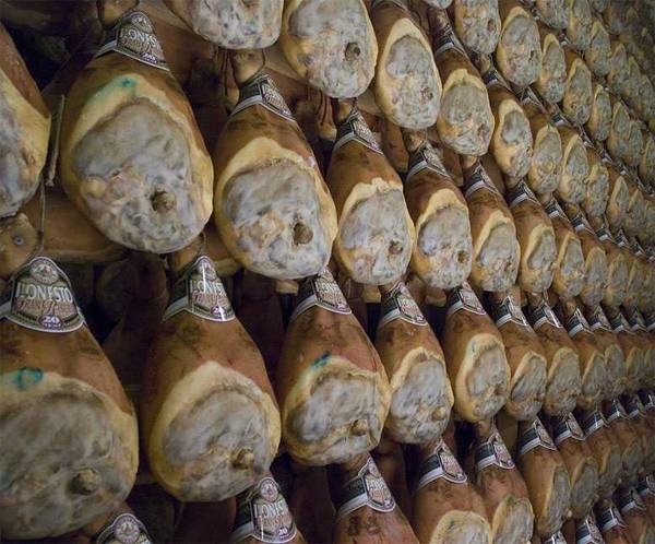 hams hanging on a rack