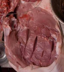 sun wah slit hams