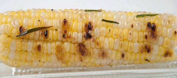 grilled sweet corn