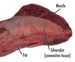 Bulbous end of a whole beef tenderloin
