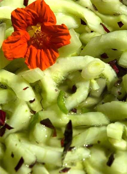 Thai cucumber salad