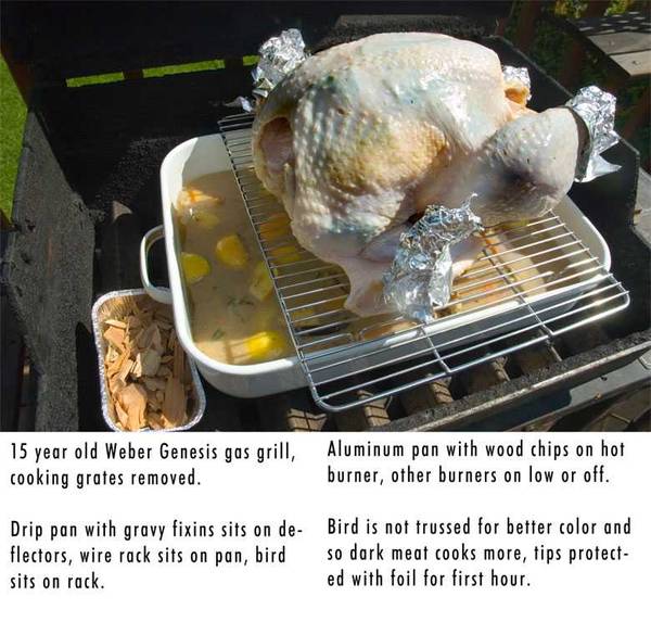 smoking turkey on gas grill