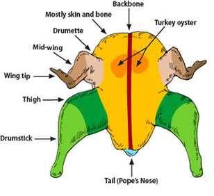 turkey front