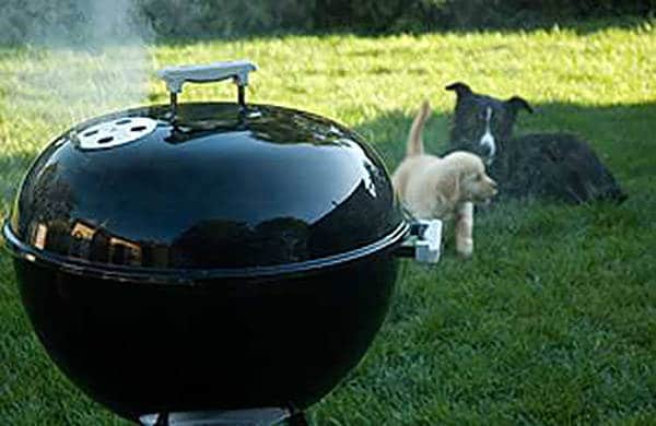A photo of a weber grill with dogs in the background