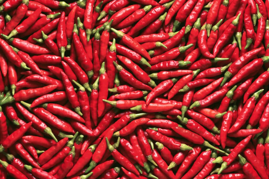 chilies.