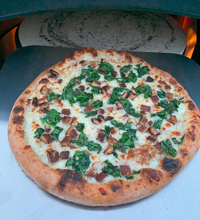 Blackstone Pizza Oven mushroom pizza