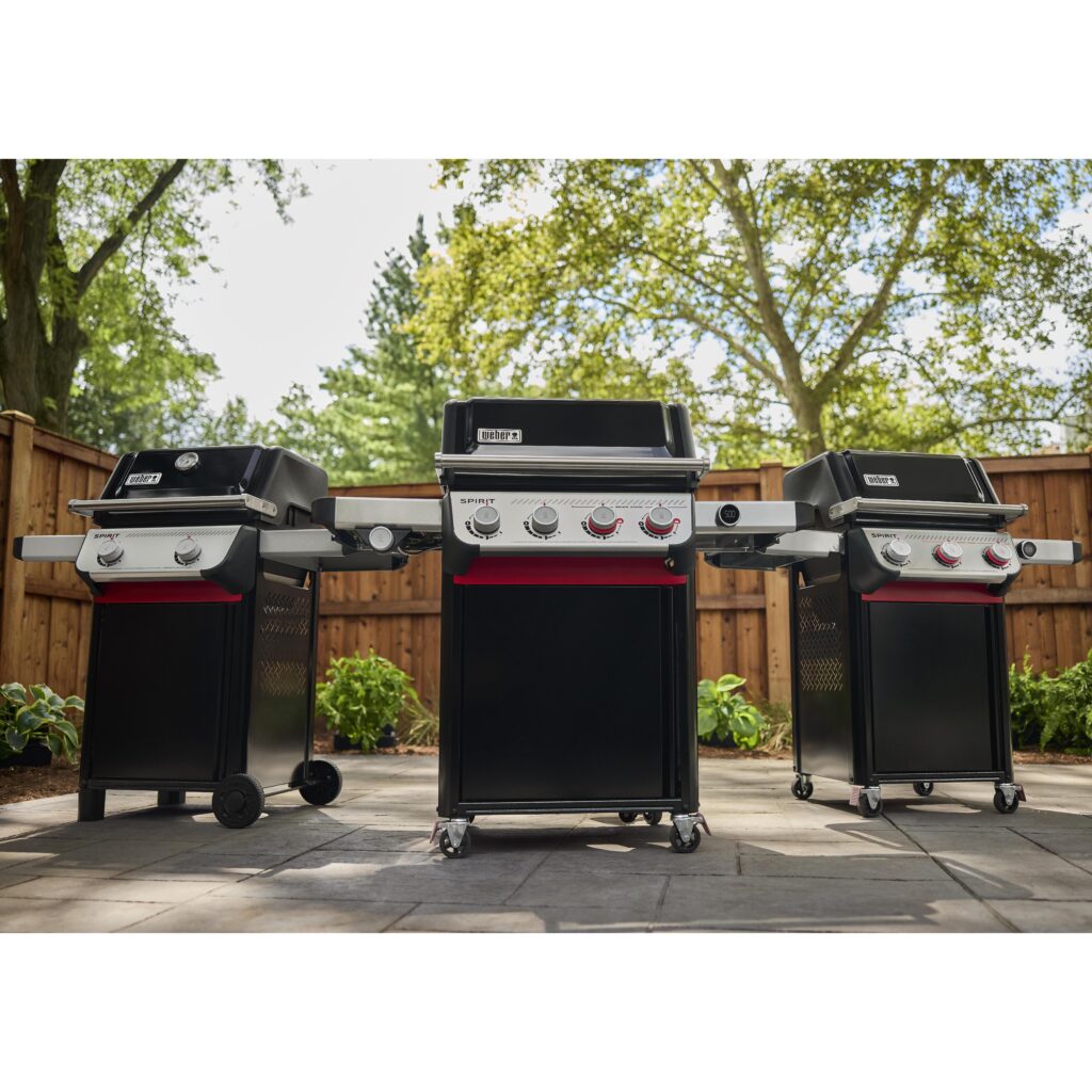 Weber 2025 New Products.