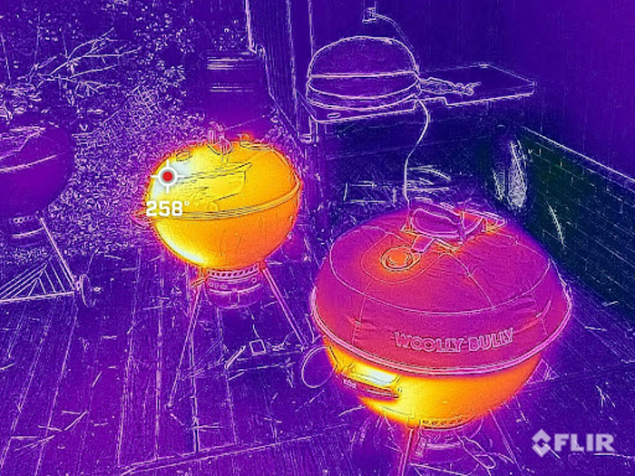 Woolly Bully thermal image