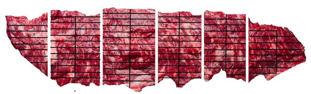 skirt steak detail 1200