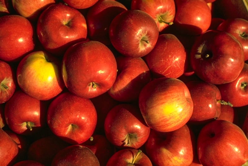 A pile of red apples

AI-generated content may be incorrect.